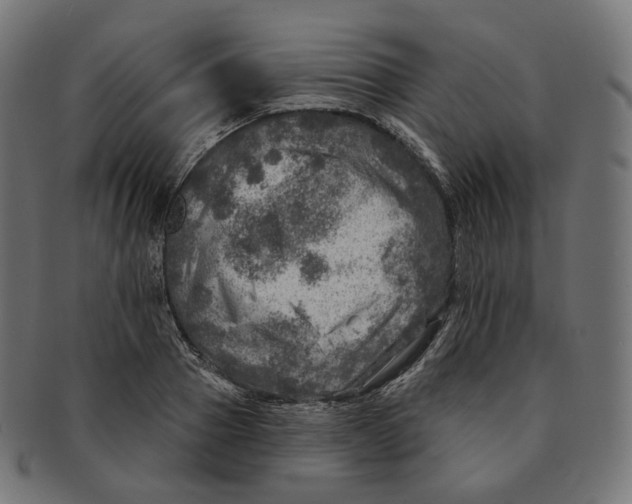 X0000091720937200709210958