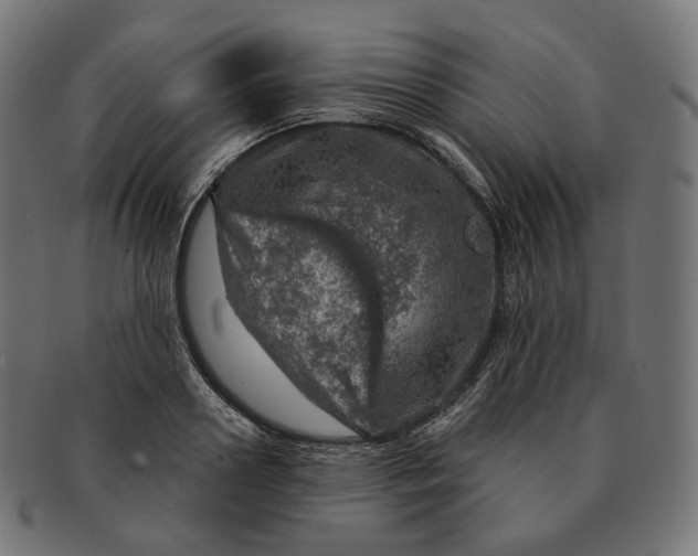 X0000091720938200709210958