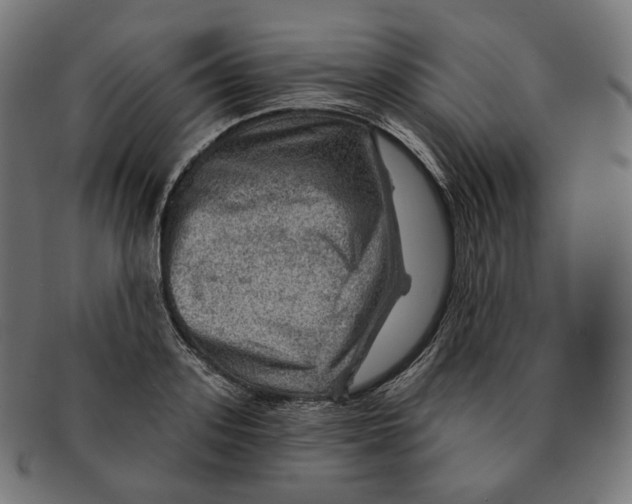 X0000091720939200709210958