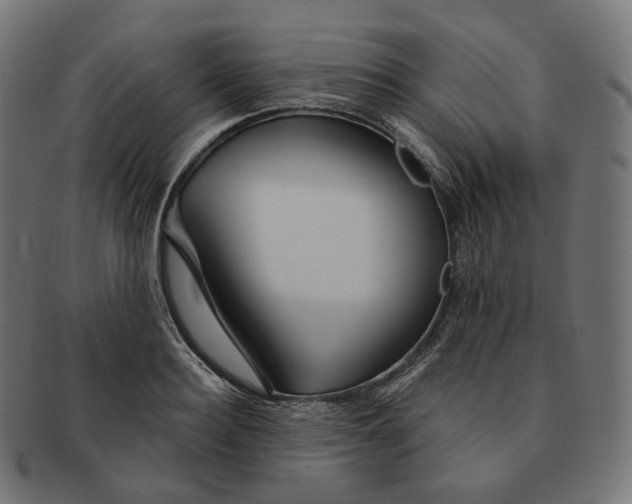 X0000091720940200709210958