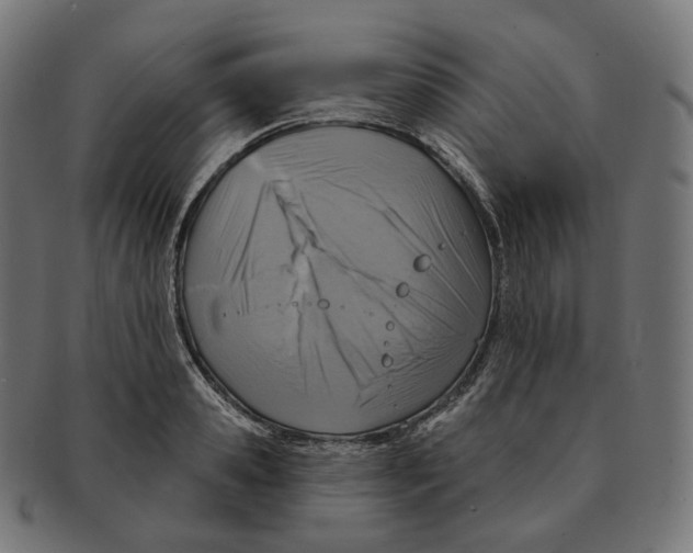 X0000091720941200709210958