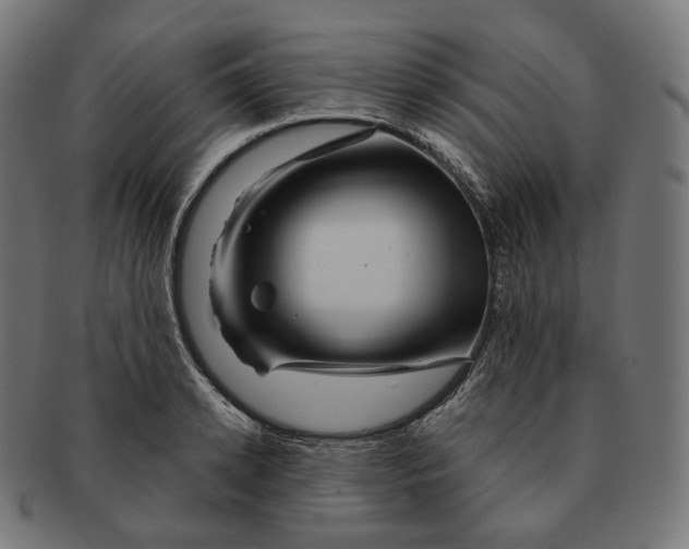 X0000091720942200709210958