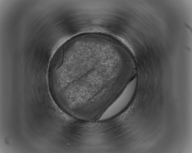 X0000091720943200709210958