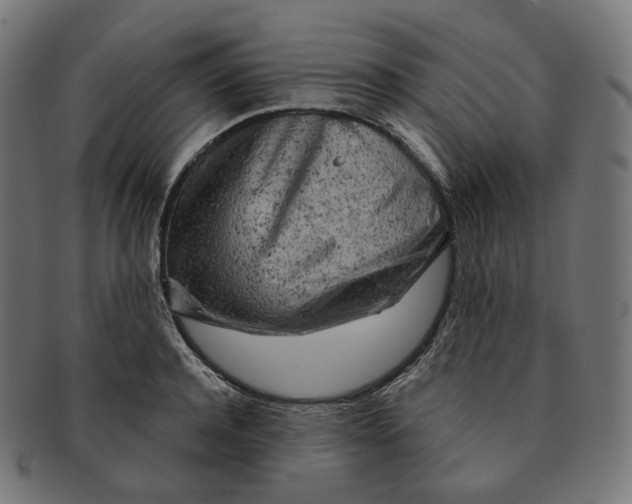 X0000091720944200709210958