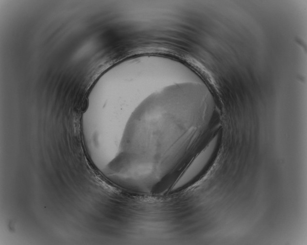 X0000091720945200709210958