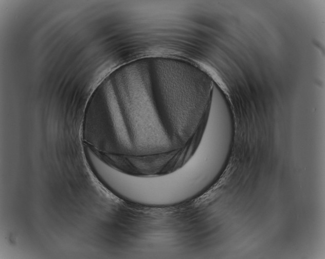 X0000091720946200709210958