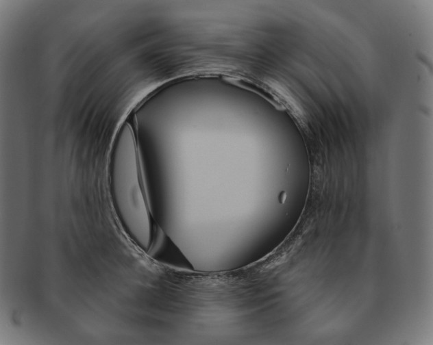 X0000091720948200709210958