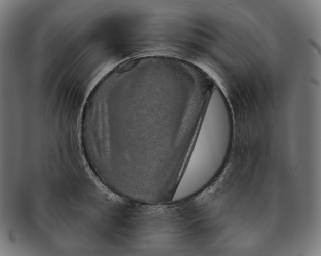 X0000091720949200709210958