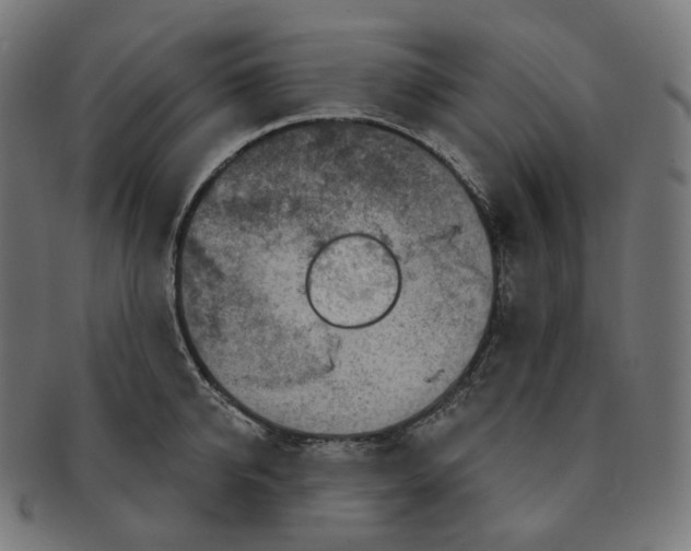 X0000091720950200709210958