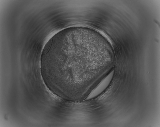 X0000091720951200709210958