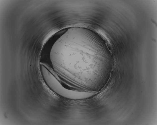 X0000091720952200709210958