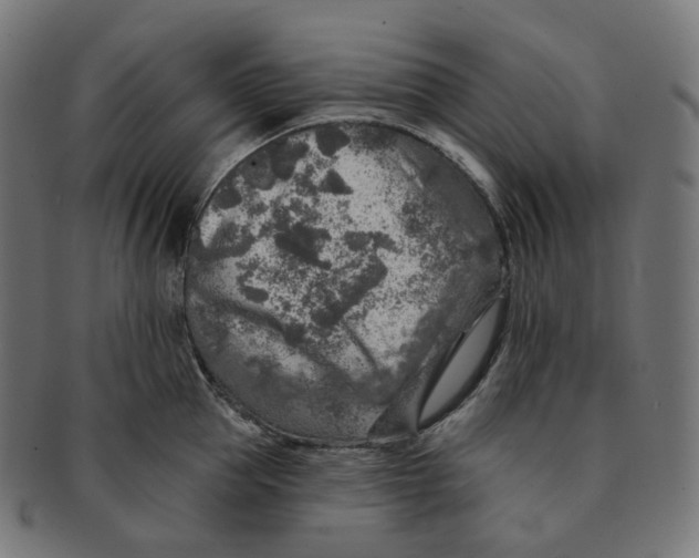 X0000091720953200709210958