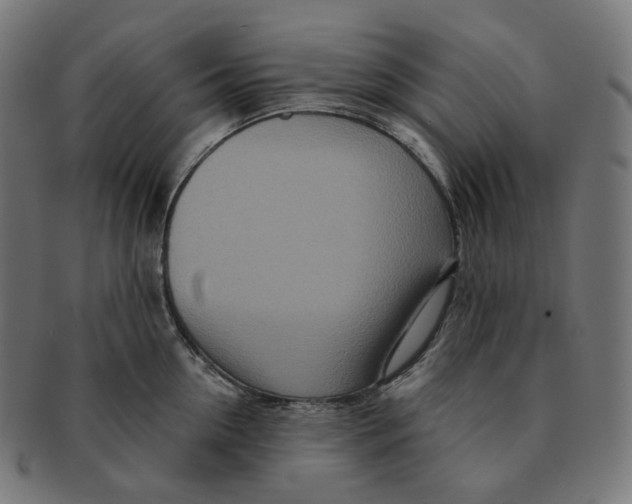 X0000091720954200709210958