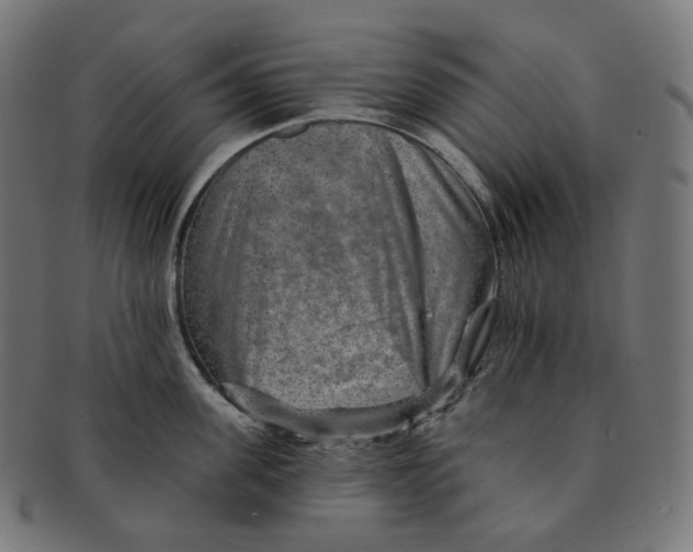 X0000091720955200709210958