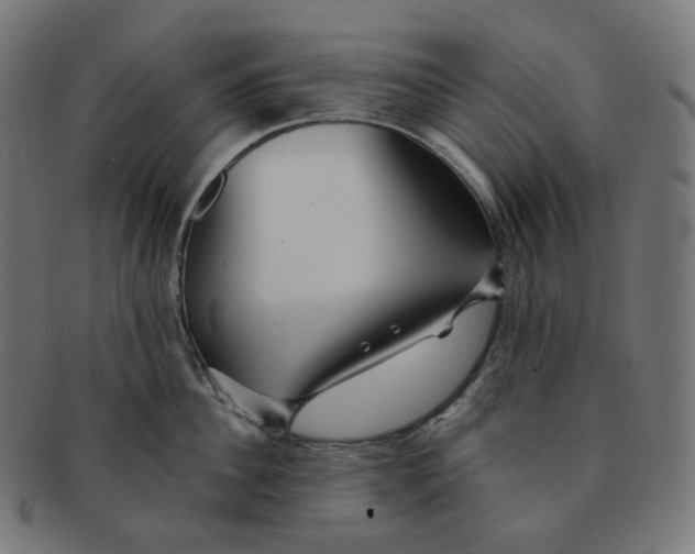 X0000091720956200709210958