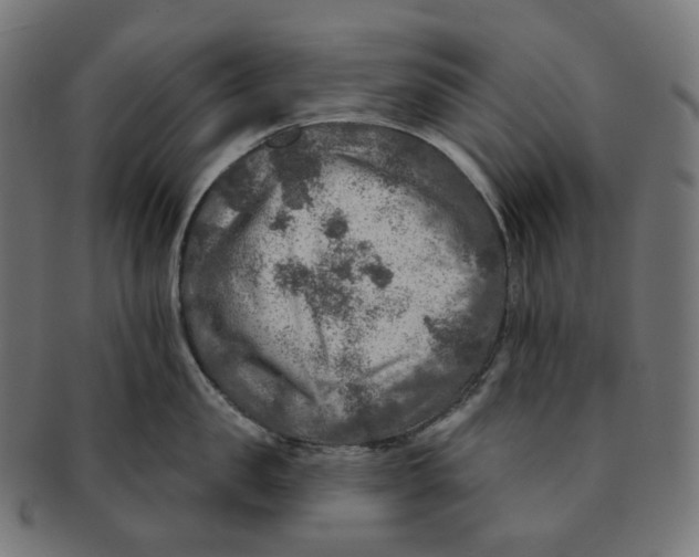 X0000091720957200709210958