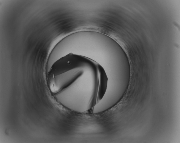 X0000091720960200709210958