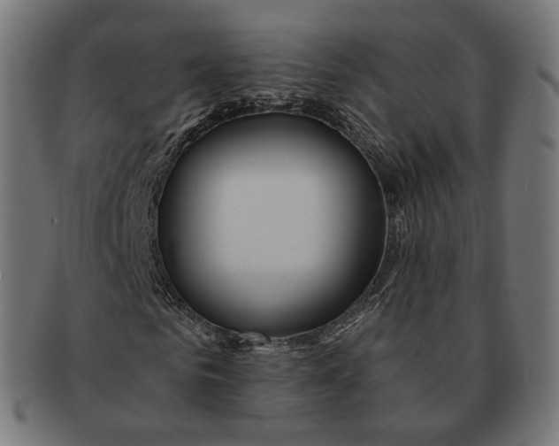 X0000091720961200709210958