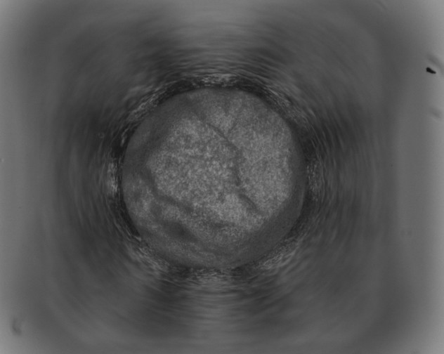 X0000091720962200709210957