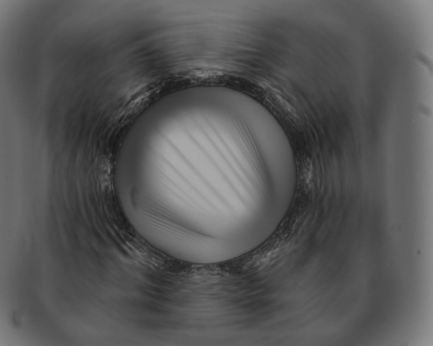 X0000091720964200709210957