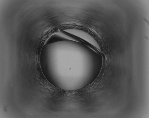 X0000091720965200709210957