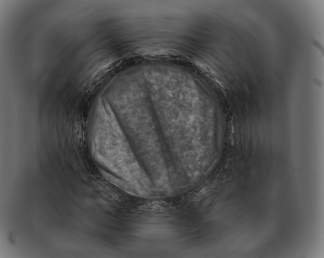 X0000091720966200709210957