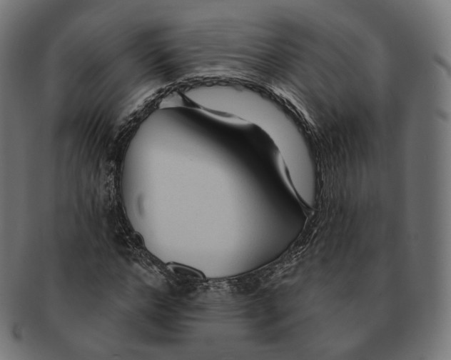 X0000091720968200709210957