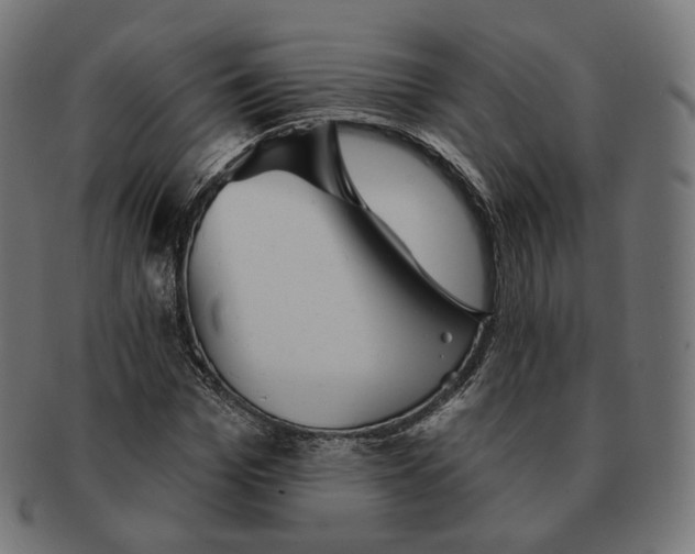 X0000091720969200709210957