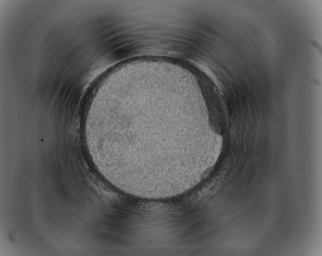 X0000091720971200709210957