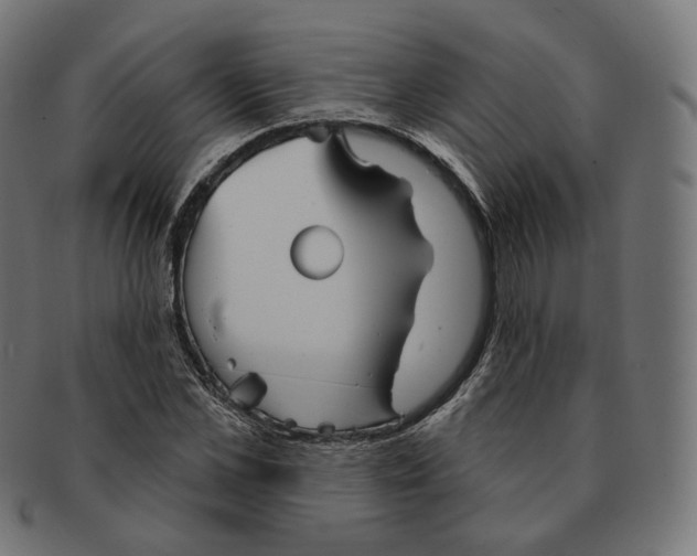 X0000091720973200709210957