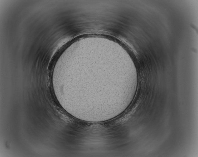 X0000091720974200709210957