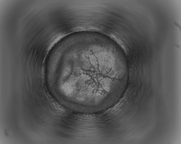 X0000091720975200709210957