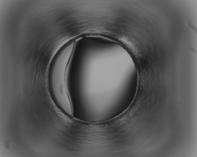 X0000091720976200709210957