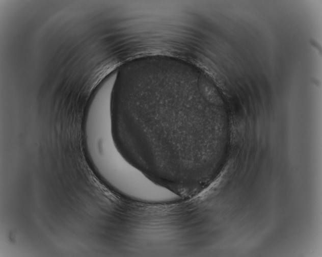 X0000091720977200709210957