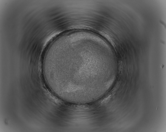 X0000091720979200709210957