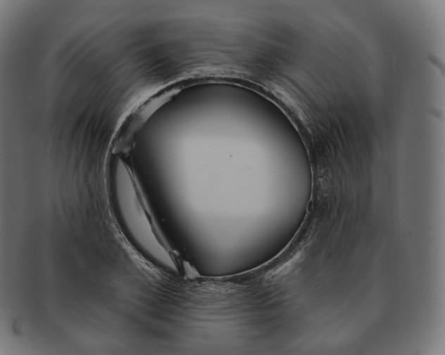 X0000091720981200709210957