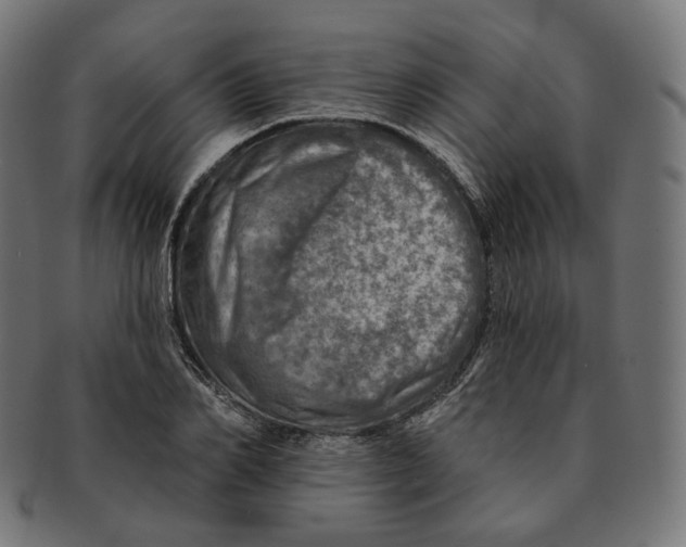 X0000091720982200709210957