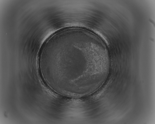 X0000091720983200709210957