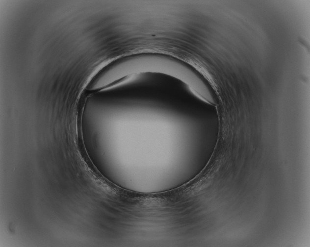 X0000091720984200709210957