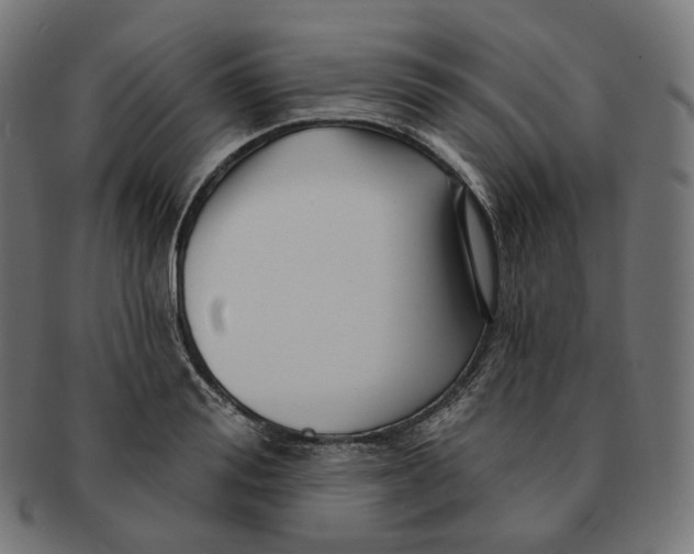 X0000091720988200709210957