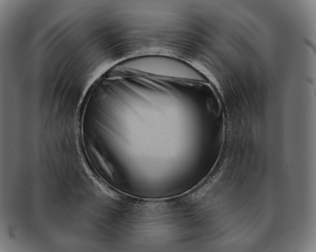 X0000091720989200709210957