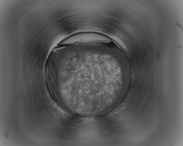 X0000091720990200709210957