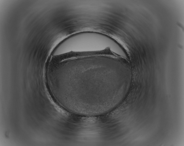 X0000091720991200709210957