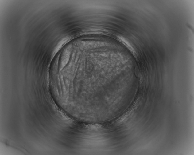 X0000091720994200709210957