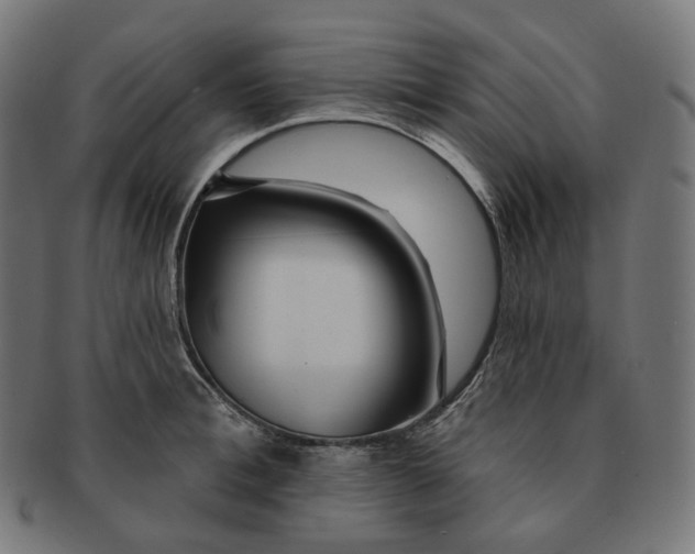 X0000091720996200709210957