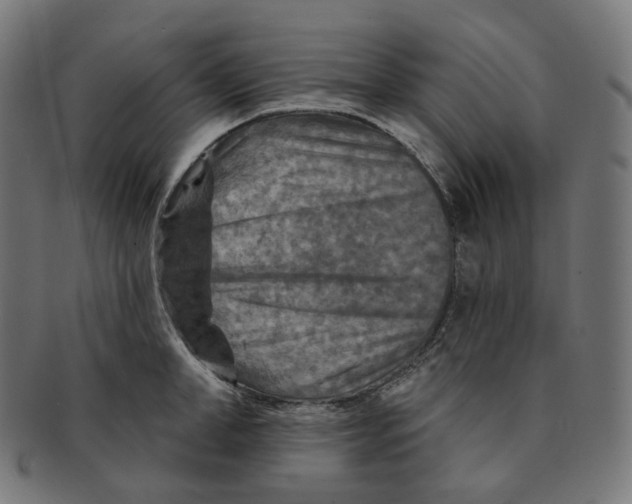 X0000091720998200709210957