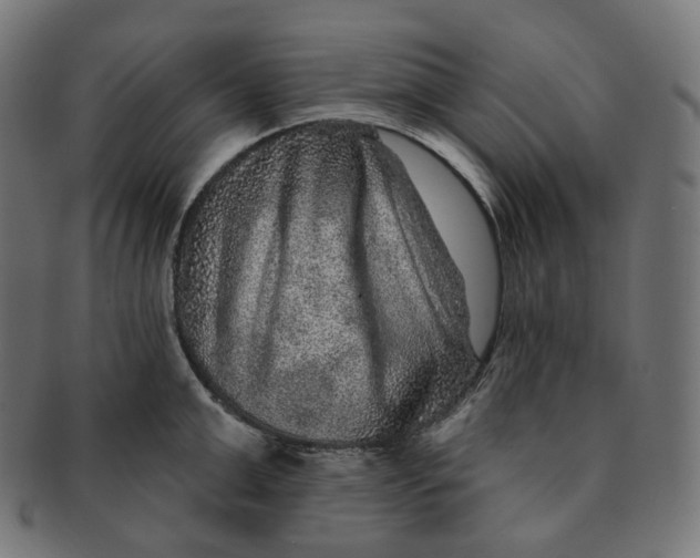 X0000091720999200709210957