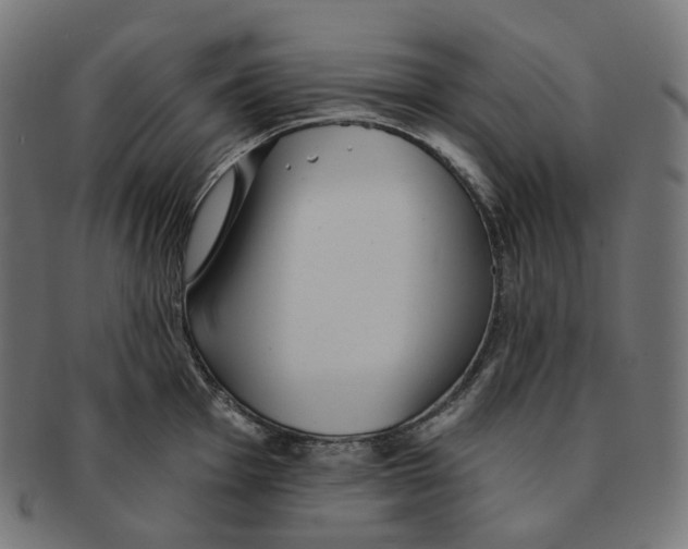 X0000091721001200709210957