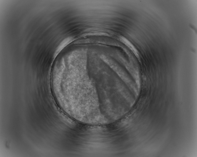 X0000091721002200709210957