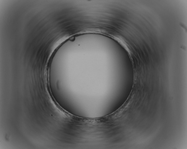 X0000091721003200709210957